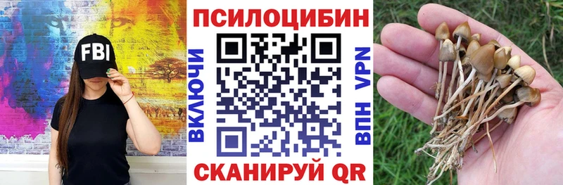 Галлюциногенные грибы Psilocybine cubensis  Темрюк 
