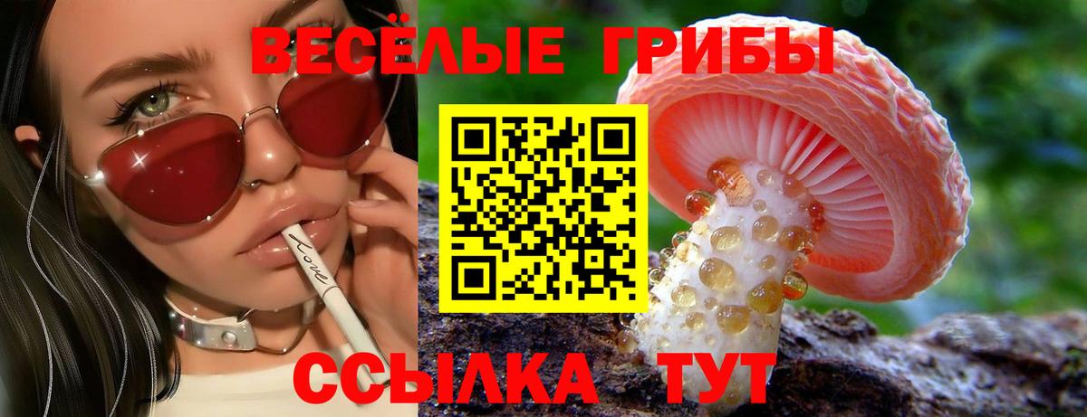 Галлюциногенные грибы Magic Shrooms  Вход с VPN  Темрюк 